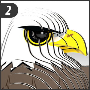 Белоголовый орлан Eugy Eco Jigsaw 3D Puzzle Edu 6+