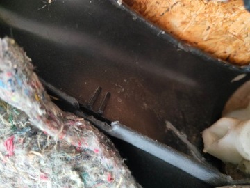 Обшивка боковой двери левая Chevrolet Camaro IV