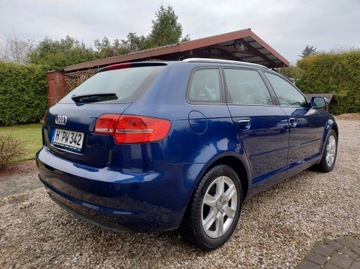 Audi A3 8P Hatchback 3d 1.2 TFSI 105KM 2010 Audi A3 Sportback 1.2 105 KM Lift, zdjęcie 3
