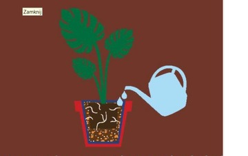 ПОЧВА ДЛЯ МОНСТЕРЫ - ГОТОВЫЙ СУБСТРАТ МОНСТЕРА С SERAMIS WESTLAND ОБЪЕМОМ ДО 16 Л