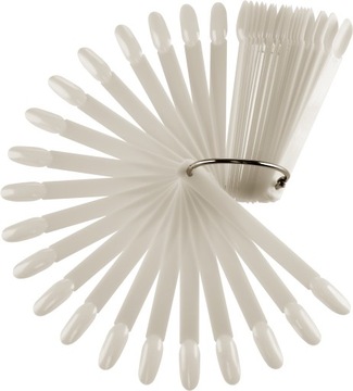 slay WZORNIK WACHLARZ ZAOKRĄGLONY mleczny PRÓBNIK