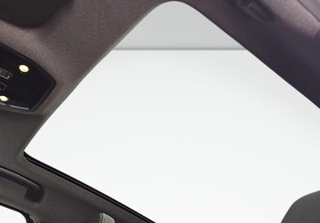 Renault Austral 1.3 Mild Hybrid 158KM 2023 Renault Austral Pl Salon, I wl, serwis pelny ASO, Gwarancja, Harman, Head, zdjęcie 24