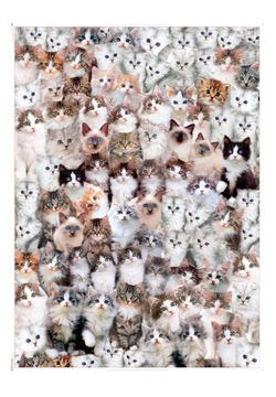 PUZZLE 1000el. Koci Świat