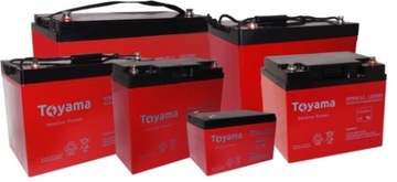 Аккумулятор TOYAMA AGM NPM12-12V 12Ah, глубокий цикл, глубокая разрядка