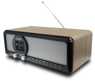 DAB+ FM-радио Ferguson i351s Интернет WiFi из Интернета Spotify Bluetooth