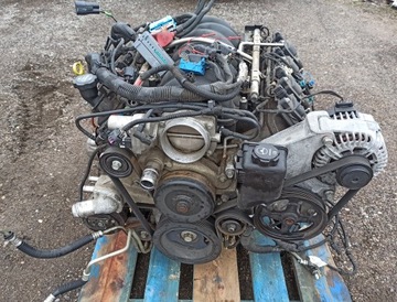 Silnik kompletny LS2 6.0 v8 SWAP Corvette C6