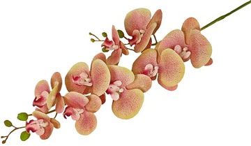 STORCZYK ORCHIDEA GAŁĄZKA 9 KWIATÓW 100cm GUMOWY