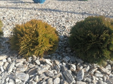 Каменная кора 11-32 мм гнейс натуральный садовый камень 1000 кг бесплатный валун