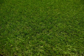 ширина 1,5 м МЯГКАЯ ЗЕЛЕНАЯ ИСКУССТВЕННАЯ ТРАВА 30 мм