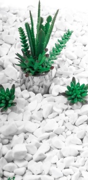 ГАЛЬКА камень БЕЛАЯ крупка ЗЕМЛЯ 1КГ САДОВЫЙ субстрат