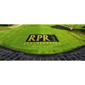 Barenbrug Sport RPR Grass Райграс самовосстанавливающийся 100% 5кг