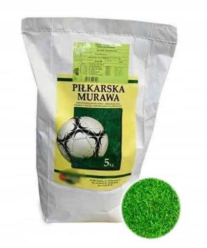 TRAWA PIŁKARSKA MURAWA WEMBLEY NASIONA TRAWY 5KG