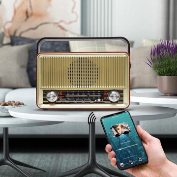 Портативная радиостанция Raba Retro Bluetooth, FM, USB, SD, AUX с пультом, коричневая