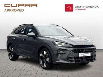 Cupra Terramar SUV 2.0 TSI 265KM 2025 Cupra Terramar DSG Kubelki Pamiec foteli Kamera 360 Hak Gwarancja Faktura, zdjęcie 6