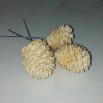 SUSZ NATURALNY NA PIKU KWIAT SZYSZKI NATURALNE PREMIUM KPL/3SZT