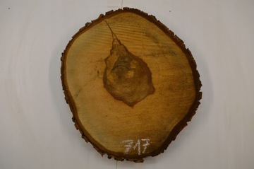 Plaster Drewna Kasztan 42x48cmGr.4,5cm Blat Stolik