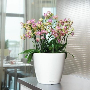 Вазон Lechuza Classico LS 35, белый глянец