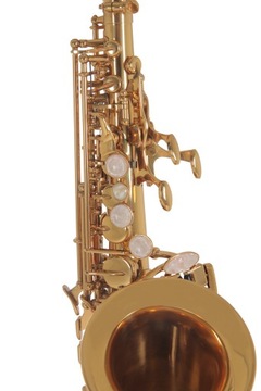Изогнутый сопрано-саксофон Roy Benson SG-302