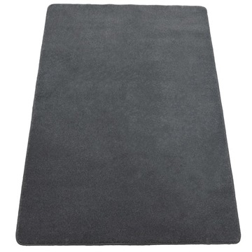 DYWAN DO POKOJU MIĘKKI PLUSZOWY GĘSTY 100x200