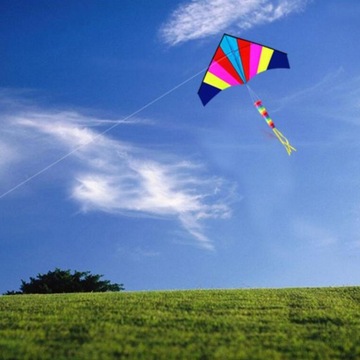 Кайт Giant Delta Easy с хвостом Single