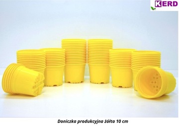 10шт ПРОИЗВОДСТВЕННЫЕ цветочные горшки 10 см ЖЕЛТЫЙ кресс-салат нарцисс нарцисс крокус весна