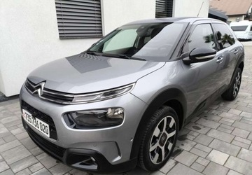 Citroen C4 Cactus Crossover Facelifting 1.2 PureTech 110KM 2019 Citroen C4 Cactus Citroen C4 Cactus 1.2 PureTech GPF Shine SampS EAT6