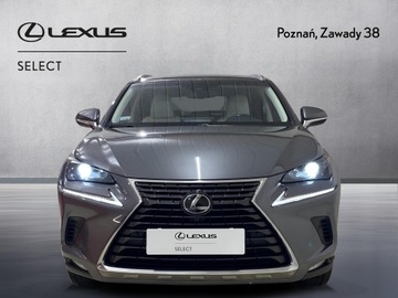 Lexus NX I SUV 200t 238KM 2017 Lexus NX 300 Comfort AWD I (2014-2021) Lexus NX 30, zdjęcie 7