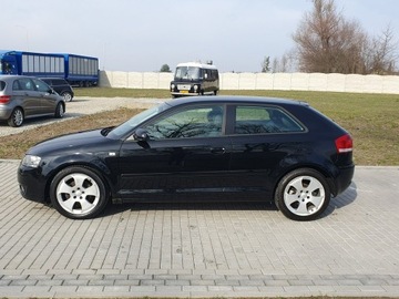 Audi A3 8P Hatchback 3d 2.0 TDI PD 140KM 2004 Audi A3 2.0tdi 140KM Skóra Klima Alu17 Raty, zdjęcie 2