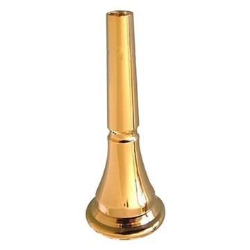 Professional French For Beginners Musical Accessories Golden