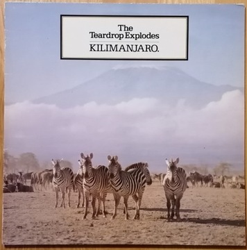 The Teardrop Explodes - KILIMANJARO 1980 - winyl