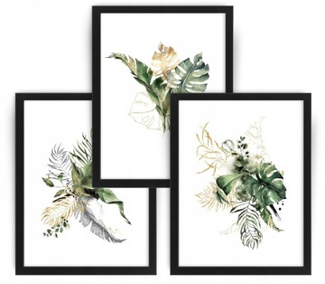 MONSTERA akwarela Zestaw 3 obrazy 33x43 rama ikea