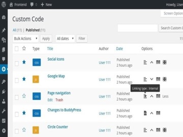 Wtyczka Simple Custom CSS and JS PRO