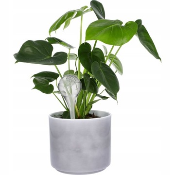12x набор для орошения PLANT FLOWER водяные шарики для орошения цветочных горшков