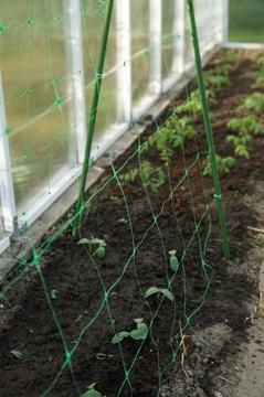 РАМА Опорная сетка для огурцов и помидоров 150 см. ПОДДЕРЖКА ДЛЯ СТОЙКИ