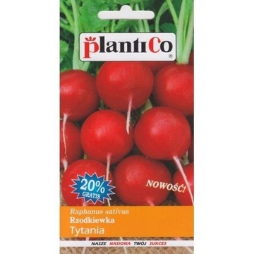 Rzodkiewka Tytania PlantiCo