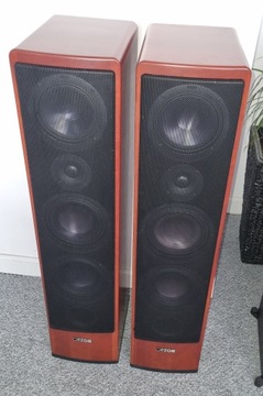 Напольные колонки Canton Ergo 609 DC