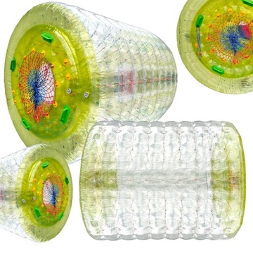 WALEC WODNY WATER ROLLER 2,5M ZORBINGOWY TPU MOCNY