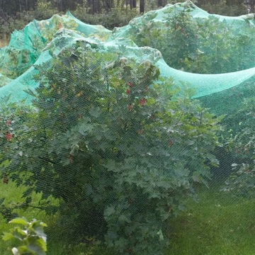 ЗАЩИТНАЯ СЕТЬ ДЛЯ ПТИЦ, НАЧИНКИ, БОЛЬШАЯ, ПРОЧНАЯ ОТ ПТИЦ-ВРЕДИТЕЛЕЙ, 5х10 М