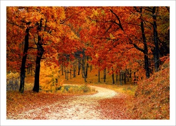 Плакат для домашнего декора Воздушный шар 70х50 К43