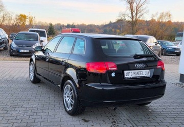 Audi A3 8P Hatchback 3d 1.6 102KM 2008 Audi a3 1,6 MPI 102 km 1.6 Benzyna 102KM, zdjęcie 3