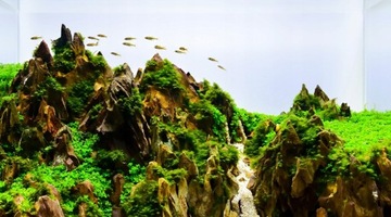 Камни для аквариума Камень Dragon Rock 1кг.