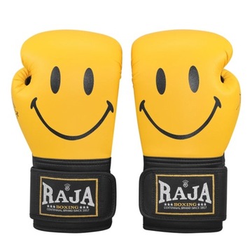 RAJA HANDMADE HIGH QUALITY MICROFIBER LEATHER ADULT WOMEN/MEN BOXING GLOVES