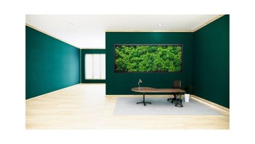 Картина мох и подушечный мох 100х50 см.