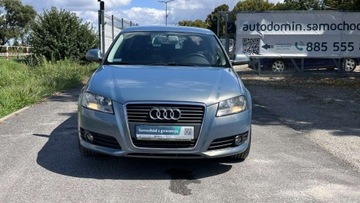 Audi A3 8P Hatchback 3d 1.6 TDI 105KM 2010 Audi A3 Raty tylko 150 tys km 5drzwiowy Sportback serwis Import Gwarancja, zdjęcie 6