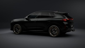 Cupra Terramar 2026 Cupra Terramar Advantage Edition 2.0 TSI 204 KM, zdjęcie 11