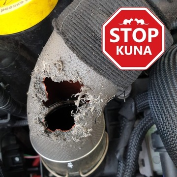 ОТПУСКАТЕЛЬ КУНИЦЫ ЭФФЕКТИВЕН ОТ АЛЛЕГРО МУЖЧИН ОТПУСКАТЕЛЬ ДЛЯ АВТОМОБИЛЯ