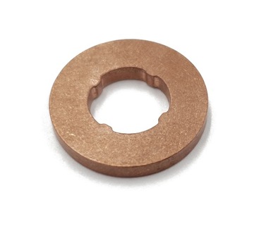 BOSCH F00VC17504 ТЕРМОШАЙБА ИНЖЕКТОРА