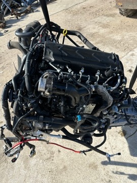 FORD RANGER V 2012-2015 SILNIK KOMPLETNY 3.2 TDCI P5AT EURO 5