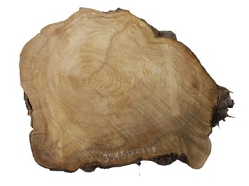 Plaster Jabłoni 51x47cm Dekoracja z Drewna Krążek