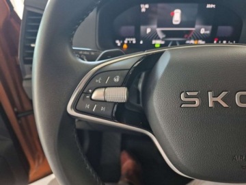 Skoda Karoq Crossover Facelifting 1.5 TSI ACT 150KM 2025 Skoda Karoq 1.5 Benzyna 149KM, zdjęcie 10